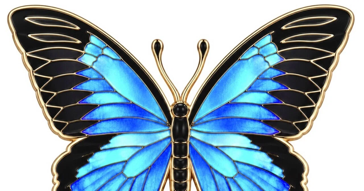【希少】ブラジル製 モルフォ蝶 バタフライウィング アート リオデジャネイロ モルフォ蝶 🦋 MORPHO｜takacova