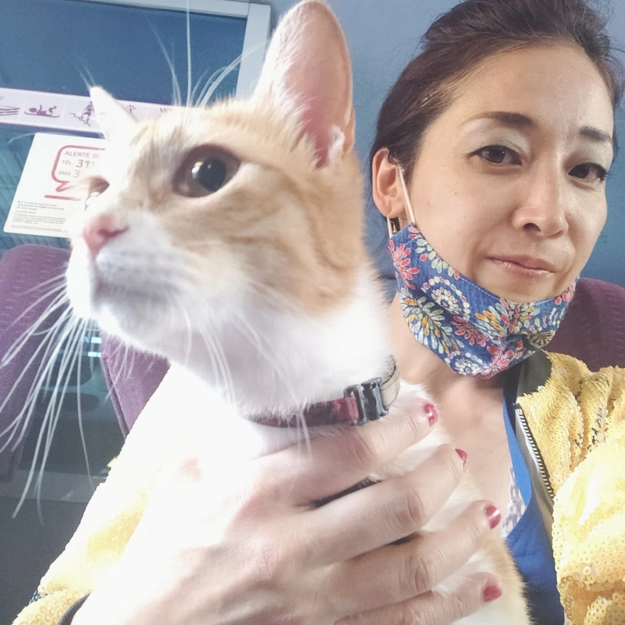 猫ちゃん2匹連れてキャンピングカーでcampに出掛けるno1|TeahBH|note