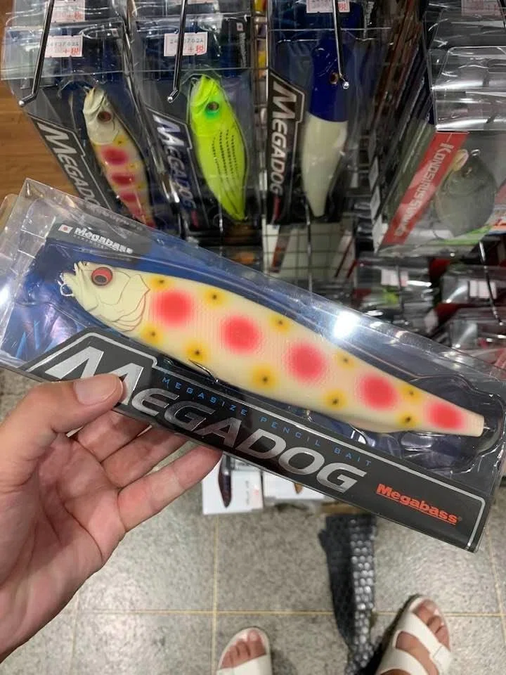 画像8