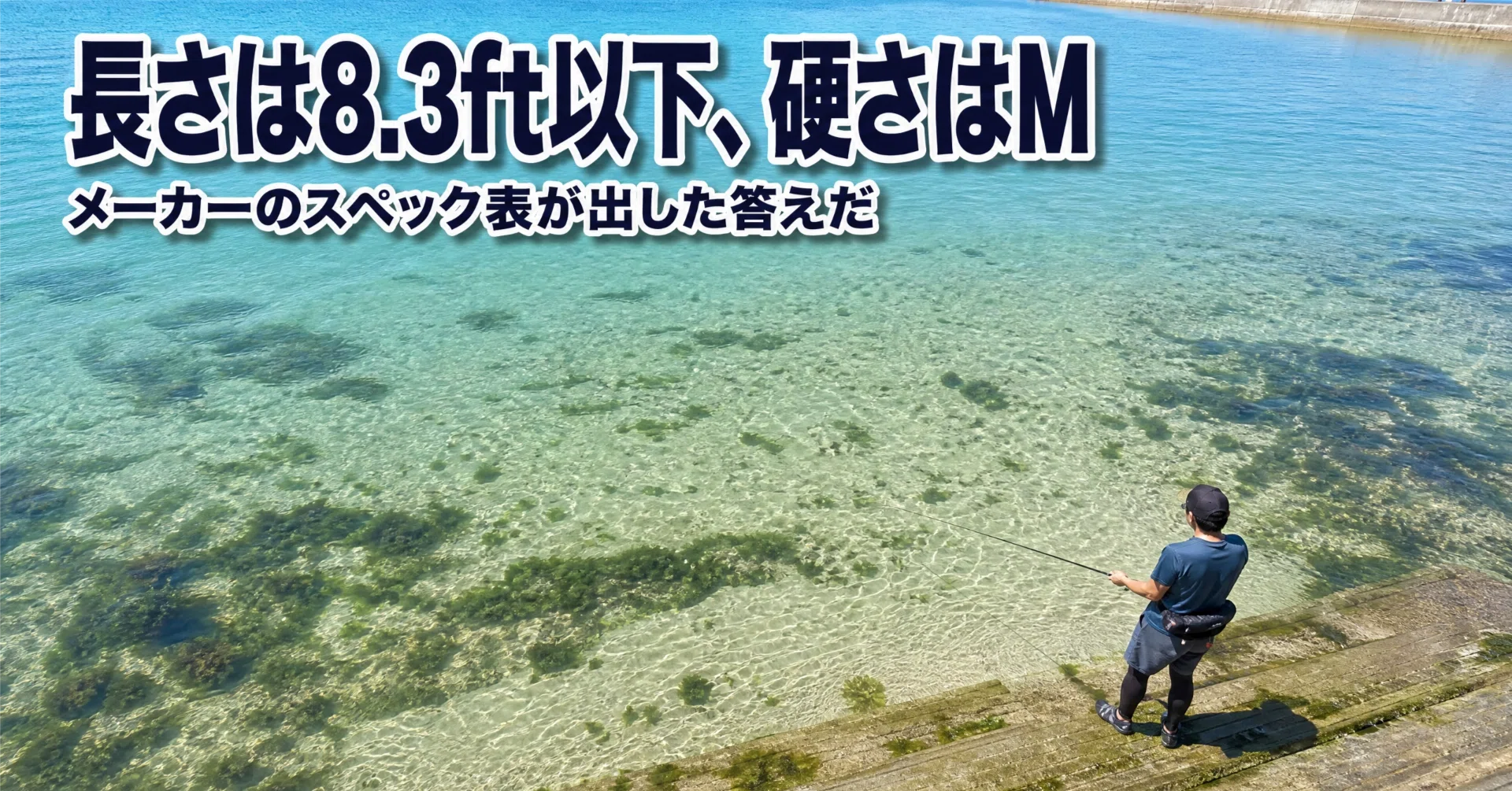 エギングロッドおすすめ8本と選び方｜長さは8.3ft以下・硬さはMが正解