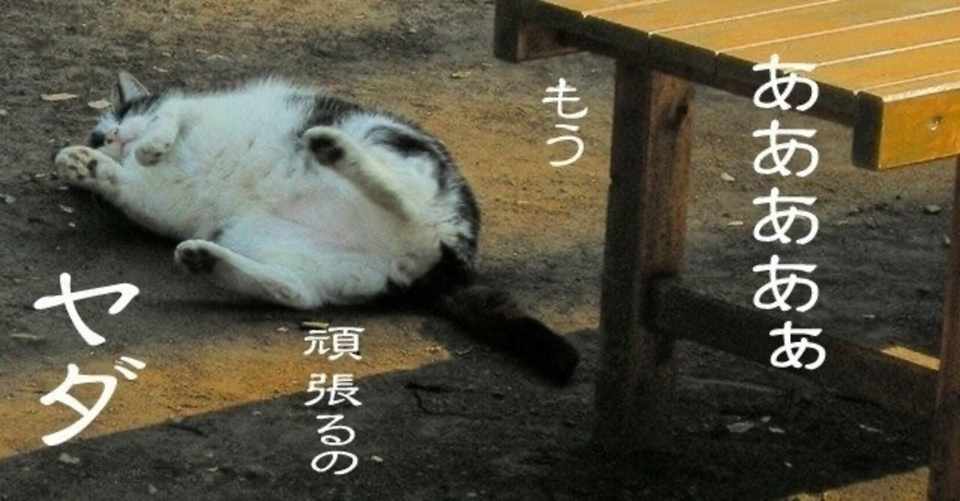 自分の仕事に自信が持てない方へ まる48社長 Note