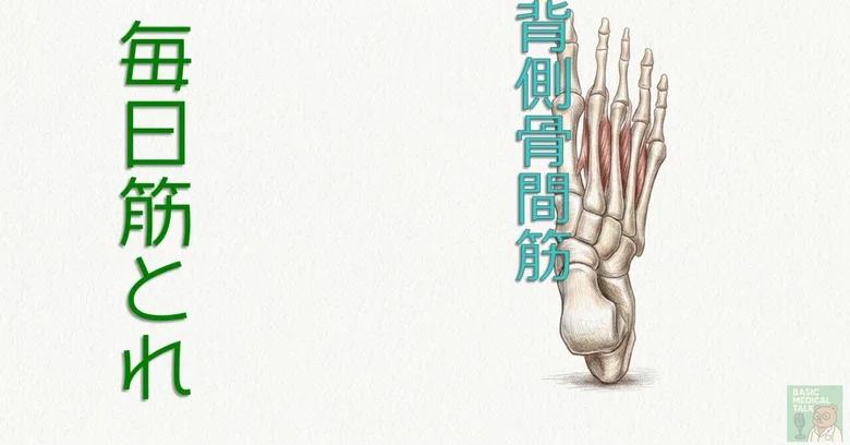 [Daily Muscle Training] 92 | Dorsal Interossei｜Basic Medical Talk ｜身体の ...
