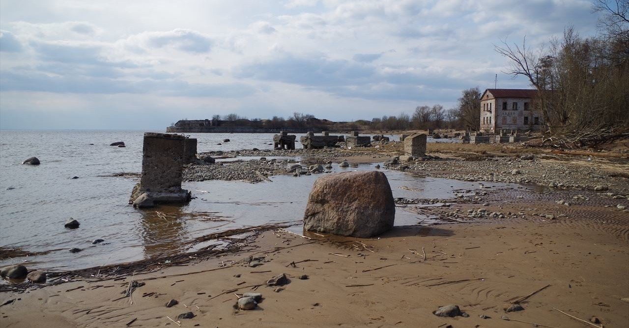 攻略 愛犬と最後の散歩をした の取得方法 終わる世界とキミとぼく 三角にぅい Note
