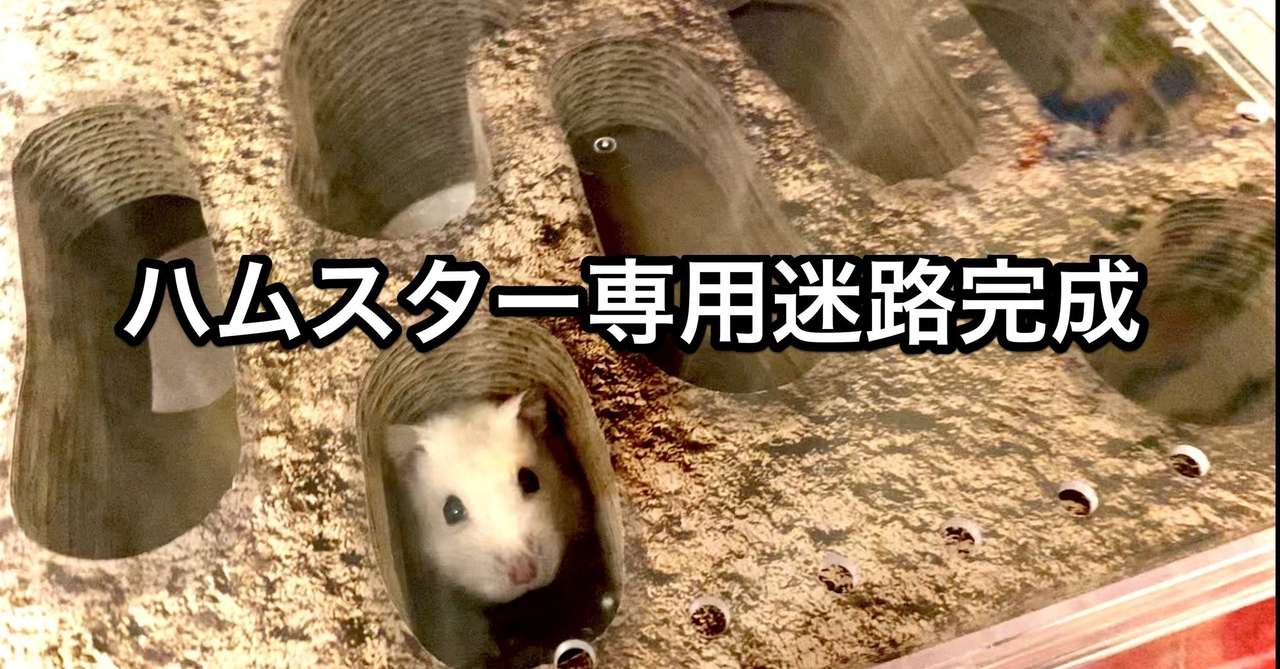 ハムスターの迷路を３階部分につくる方法 おかだ 実家の相続トラの巻 Note