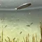 みずのなかのさかな