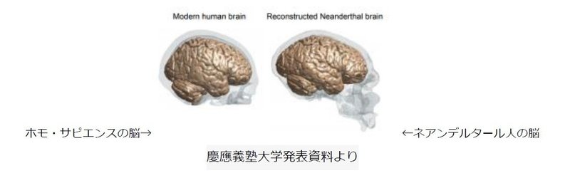 逆境のなか 進化させるdna 後編 株式会社マグリット Note 逆境のなか 進化させるdna 後編 株式会社マグリット Note