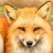りょう　パニック狐🦊は旅をする