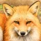 りょう　パニック狐🦊は旅をする