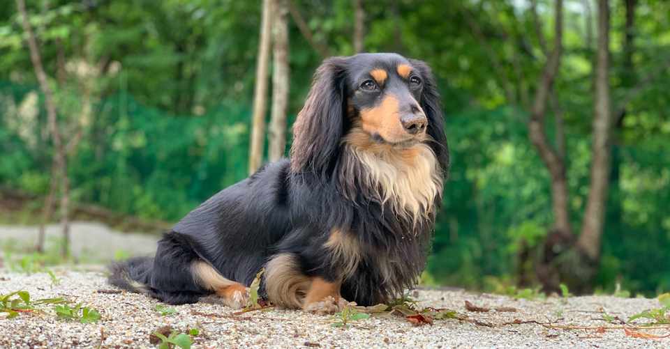 眠いときは寝る身体を信じる 高野 縁 たかのゆかり Note