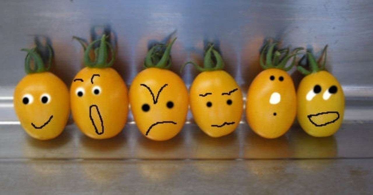 èŠåºãç»å