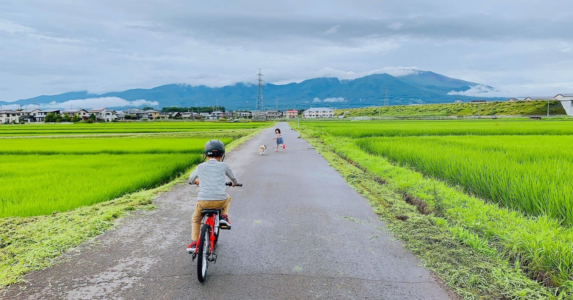 徒歩数分の田んぼ景色 夏 田口彩人 長野県佐久移住日記 一棟貸し古民家宿運営 Note 徒歩数分の田んぼ景色 夏 田口彩人 長野県佐久移住日記 一棟貸し古民家宿運営 Note