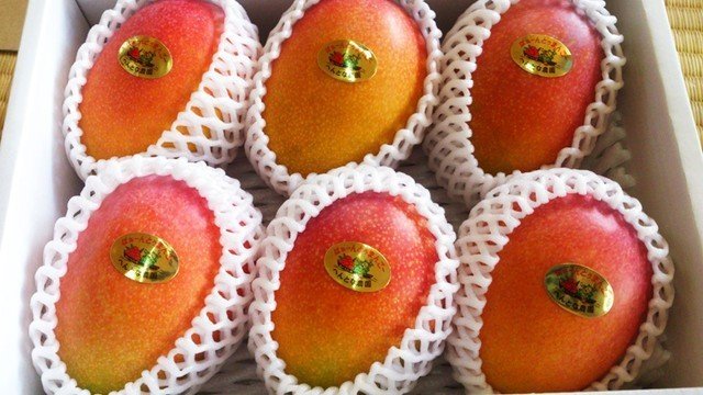 太陽の匂いをたっぷり含んだ完熟マンゴーを生む宮古島の へんとな農園 今届けたい自然の恵みとは Yoloz Magazine Note