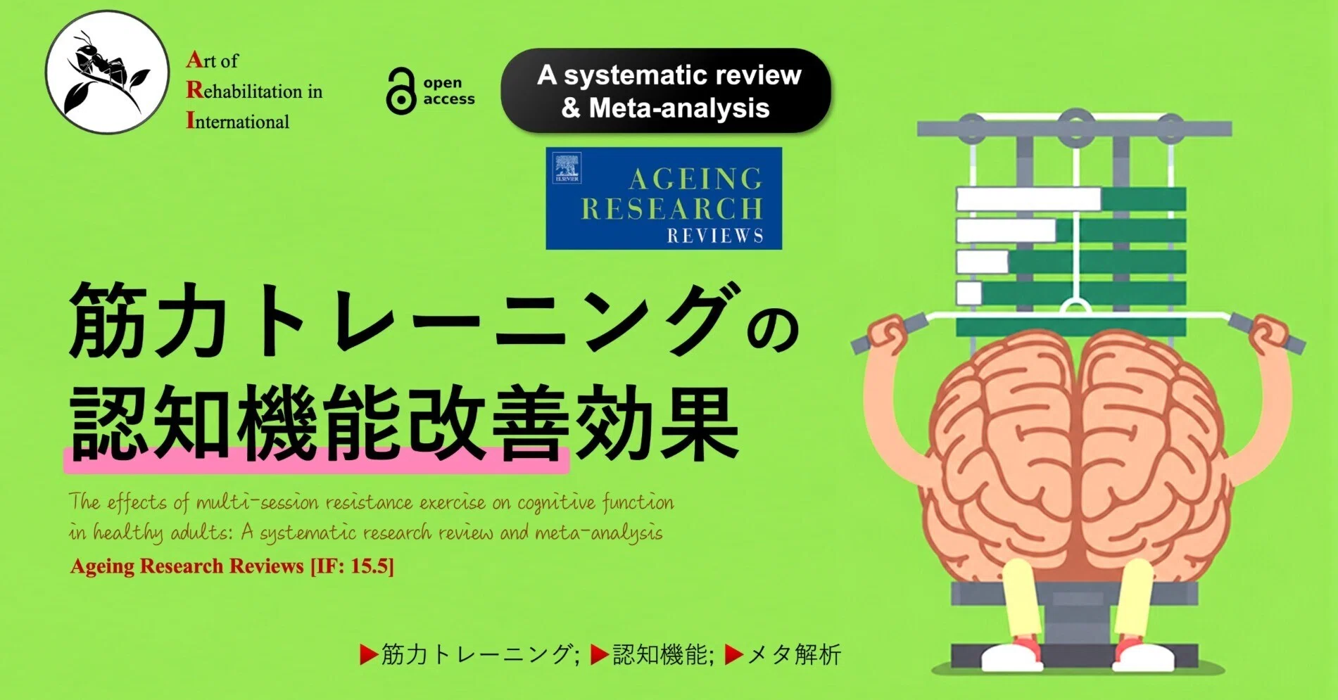 筋力トレーニングの認知機能改善効果｜Super Human | 理学療法士／保健