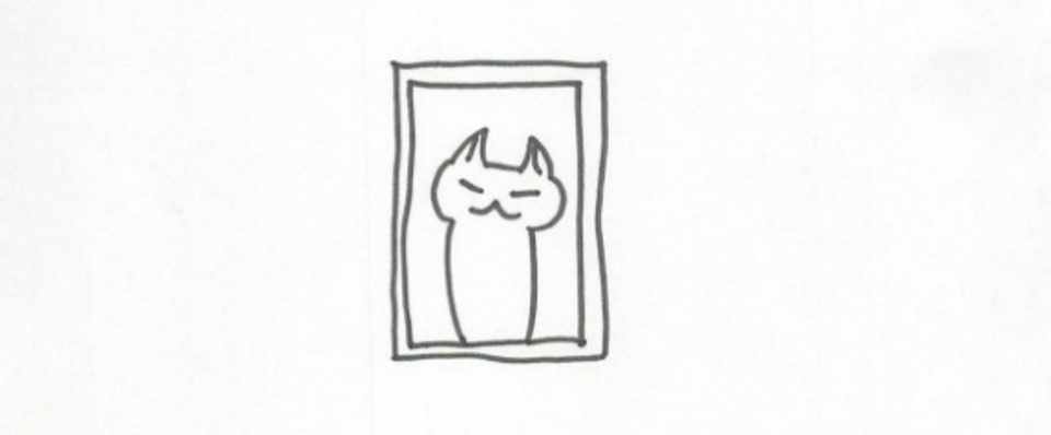 明後日が来ない猫に 液体の食事を与えることは 裏話 ねこセカンドハウスこむぎ 受付停止中 Note
