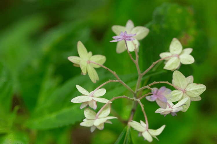 わたしの

ココロの

奥から

湧き出る

エネルギーを

大切に

#花　#幸せ　#こころ　#あなたの応援団　#写真　#フォトポエム　#フォトポエムカウンセラー