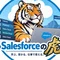Salesforceの虎