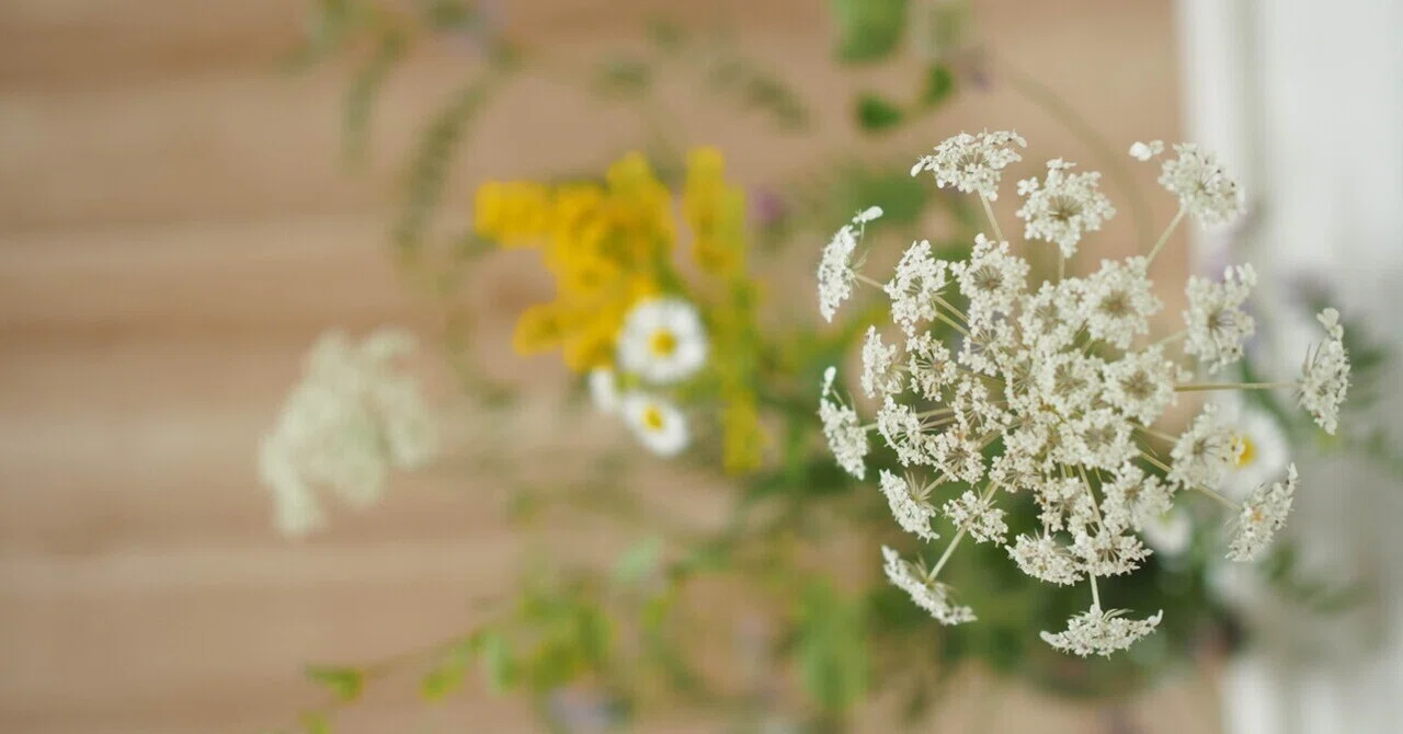 繍〜ぬいとり｜note