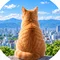 ちゃっきー| QAのミライ