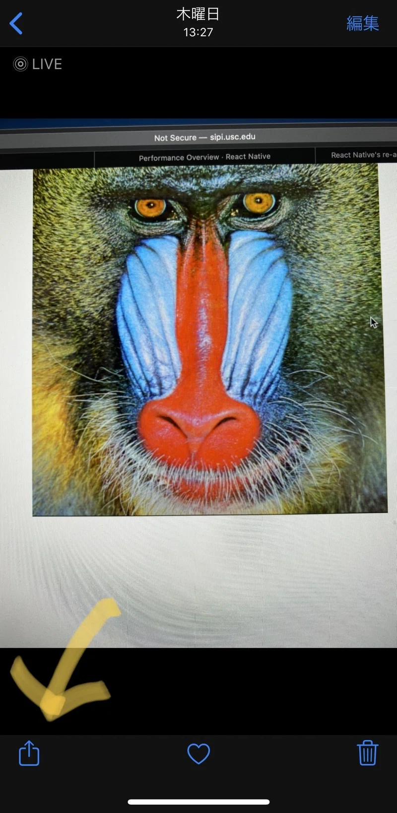 Mastodonにてiphoneで撮影した写真が正しい向きで表示されない問題の回避方法 Hytk Note