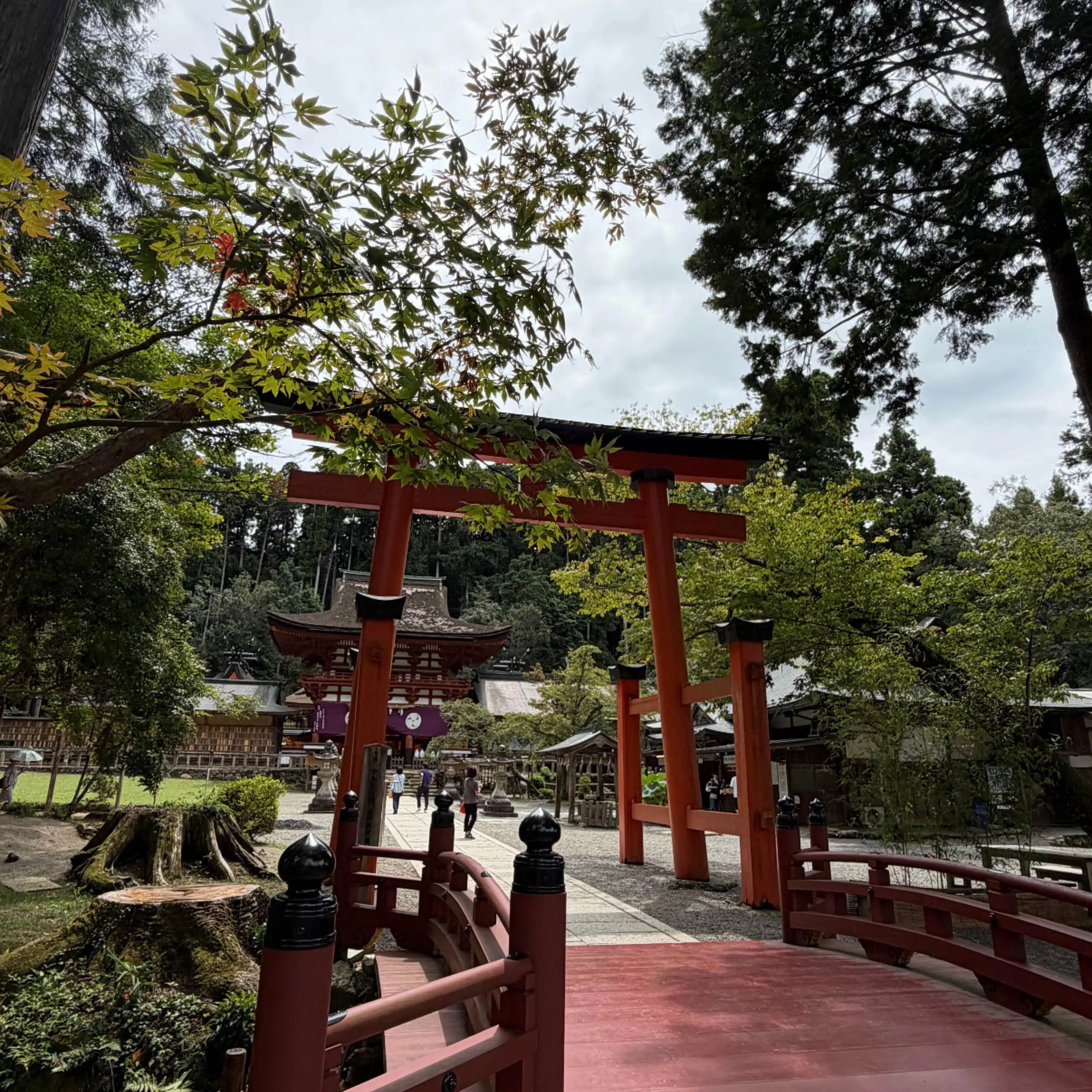 meguri 癒しの神社旅