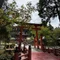 meguri 癒しの神社旅