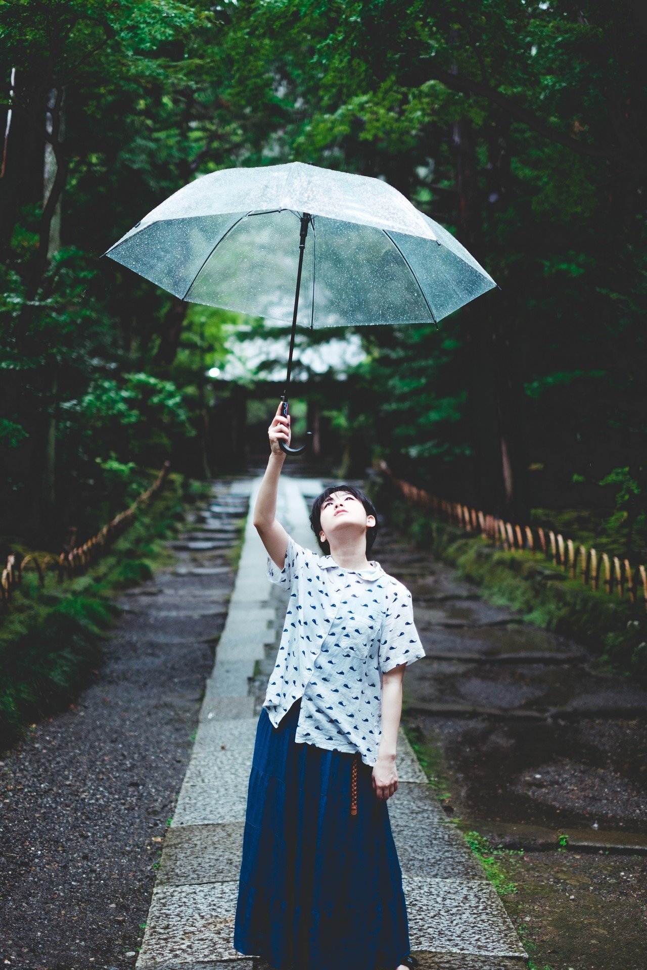 雨がやみ様 夏の雨とFUJIFILM｜Kay Katsumi