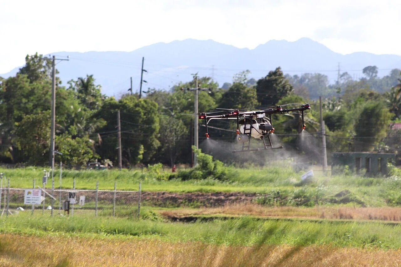 草地の上を飛行し散布する大型の農業用ドローン。田植え機に代わる播種の担い手として、次節で解説するドローン直播の中核を担う存在だ。
