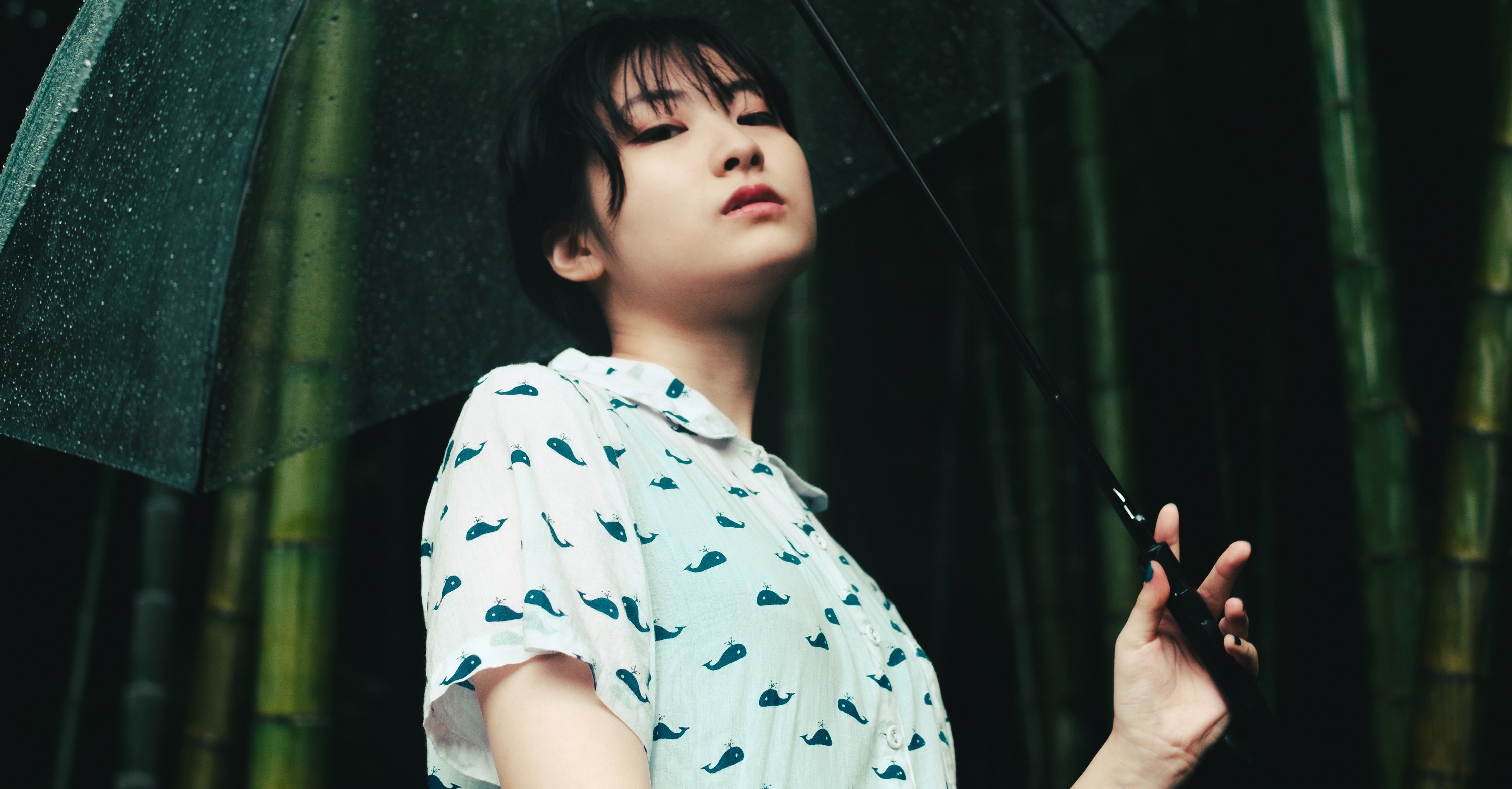 夏の雨とFUJIFILM｜Kay Katsumi