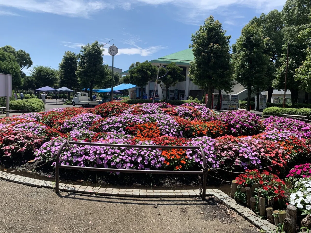入船公園 サンパチェンス祭り シラちゃん Note 入船公園 サンパチェンス祭り シラちゃん Note