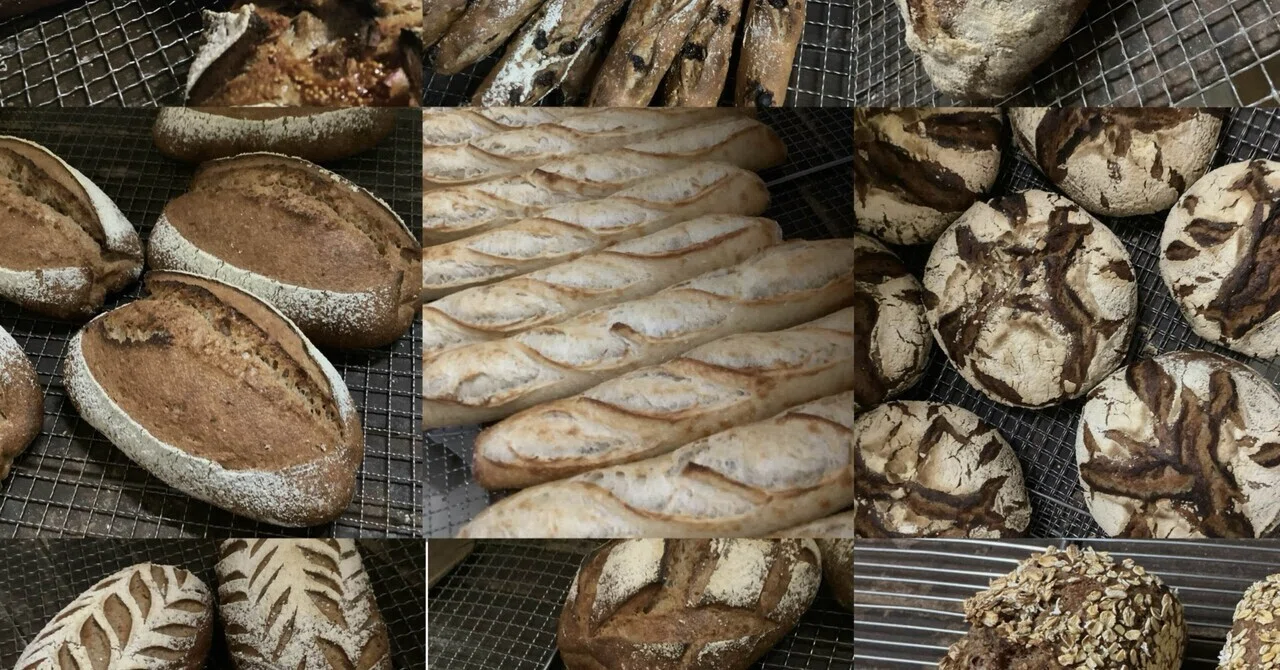 2・フランスパンってどんなパン？①パンってなあに？｜Toshi Au Cœur