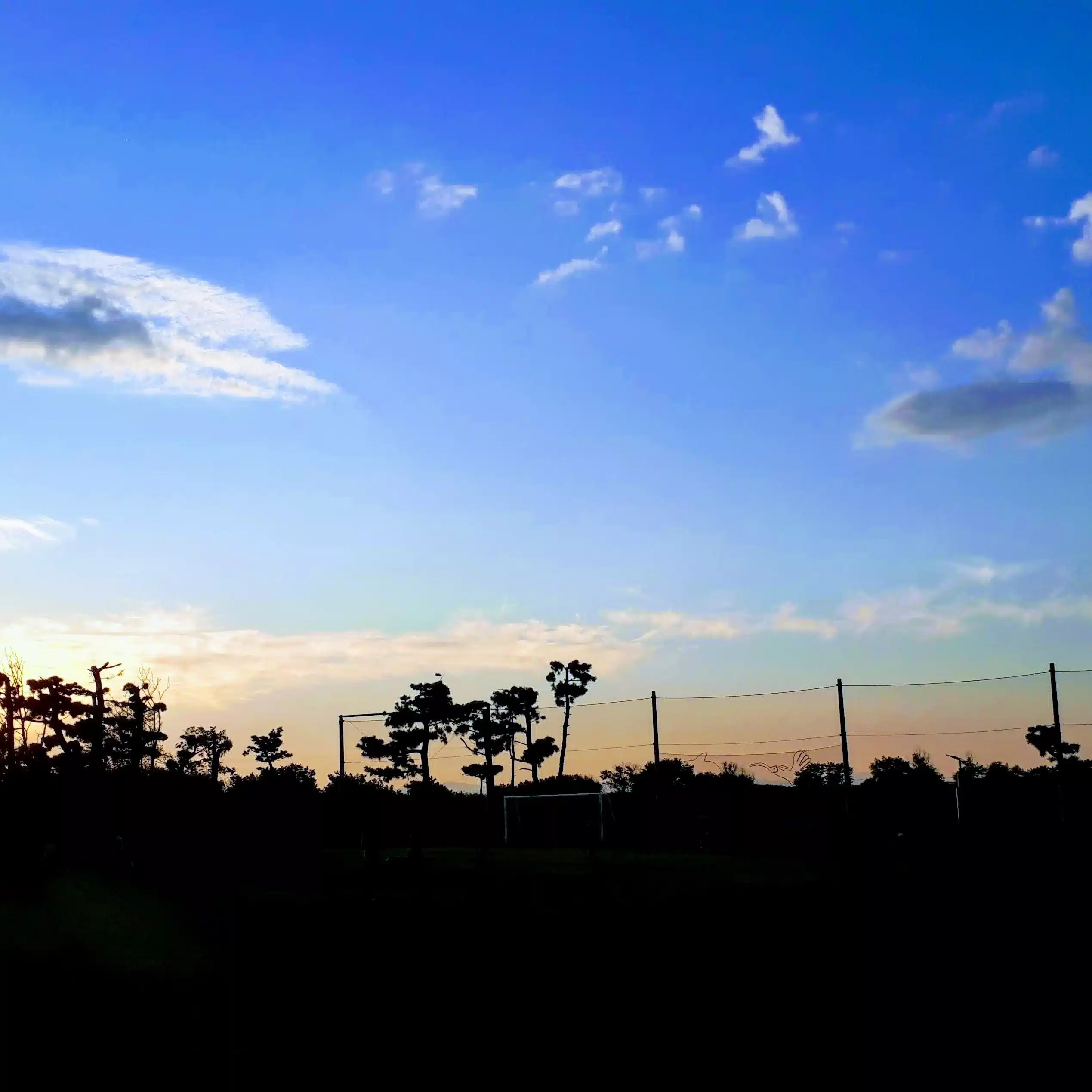 花鳥風月