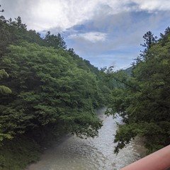 車とセミと濁流　令和の山音アルバム