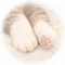 ねこのおてて