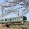 shimamon