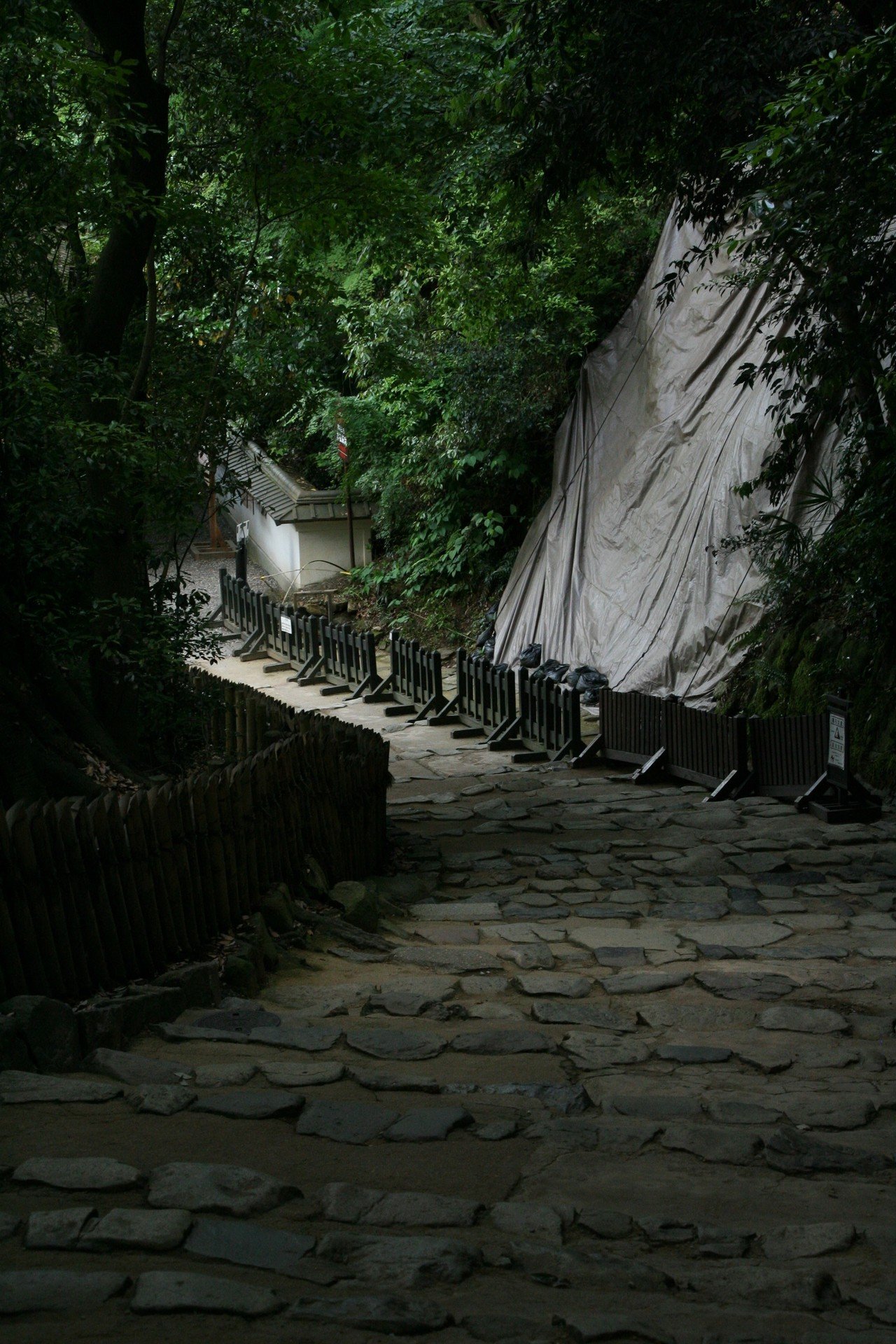 15年前のカメラだって現役だ - Canon EOS Kiss Digital N｜Zoopy