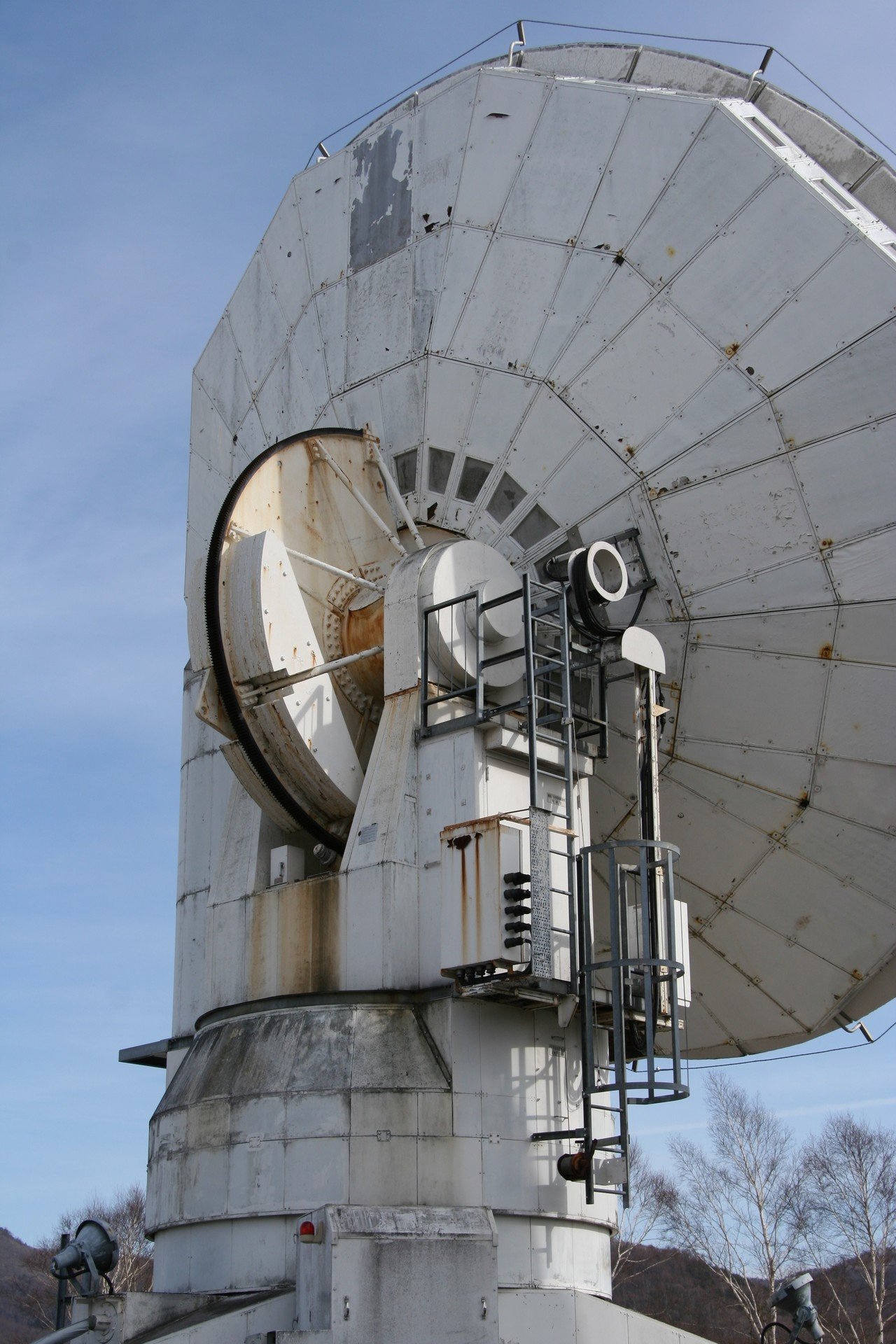 15年前のカメラだって現役だ - Canon EOS Kiss Digital N｜Zoopy