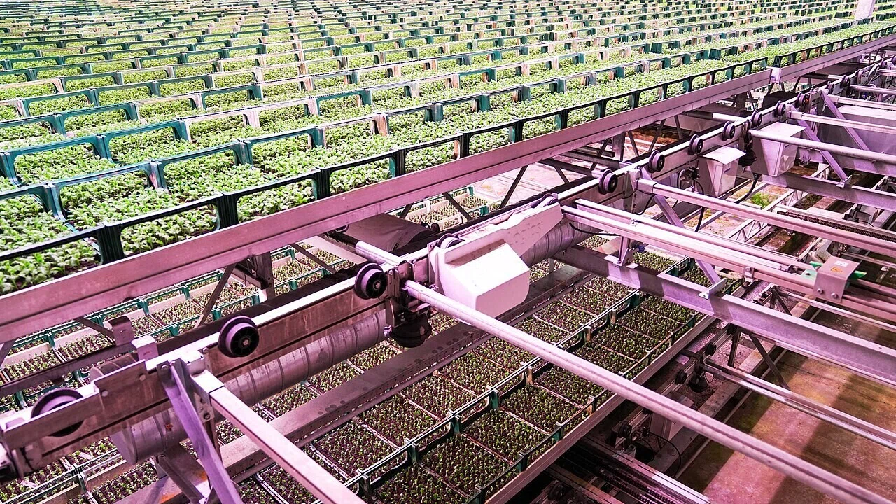 Vertical Farming System