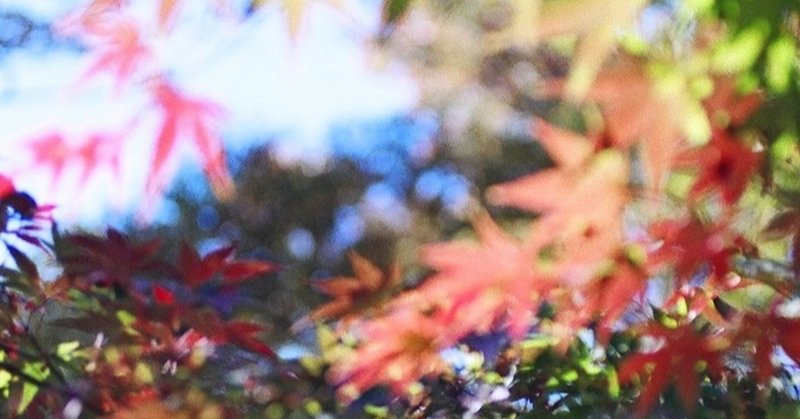 アマゾンのkindleでのweb写真集出版デビューしました ぷらっとphotoほーむ note