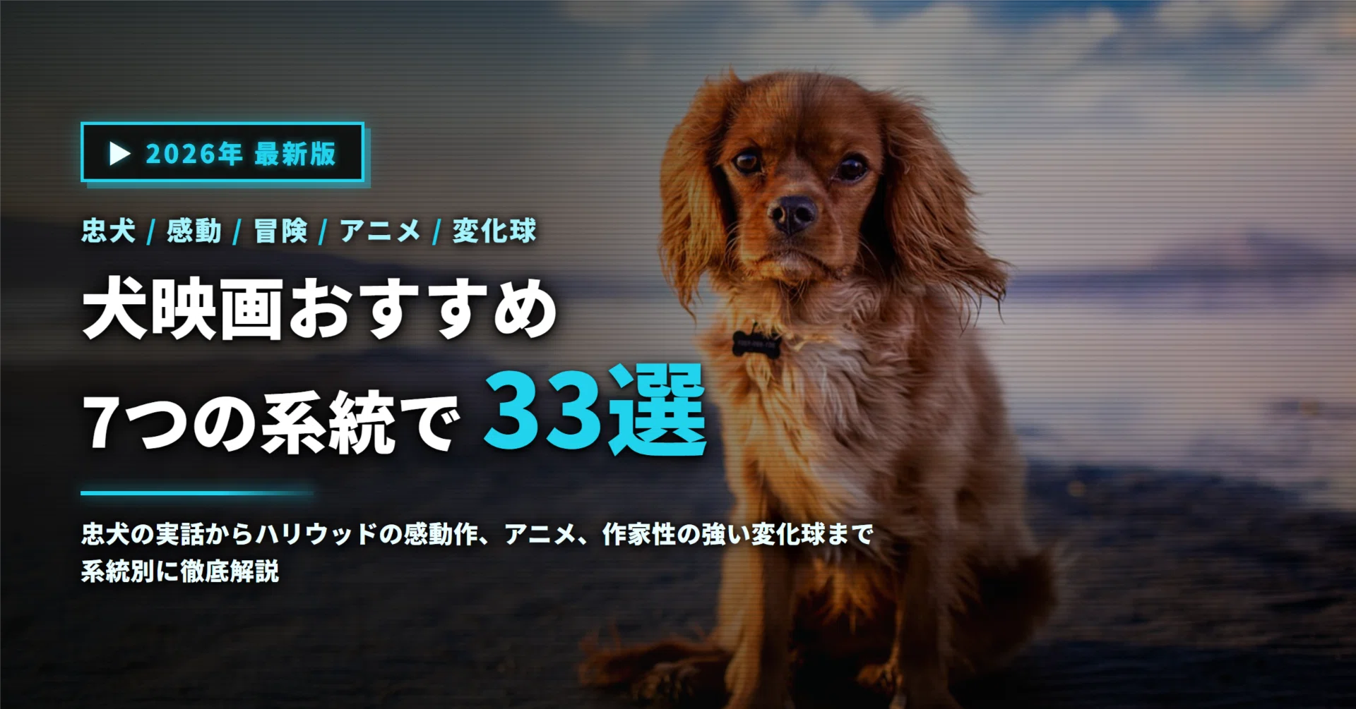 『わんわん物語』モデル犬種と実写版の違いは？名シーンの裏側と配信情報を徹底解説(01)