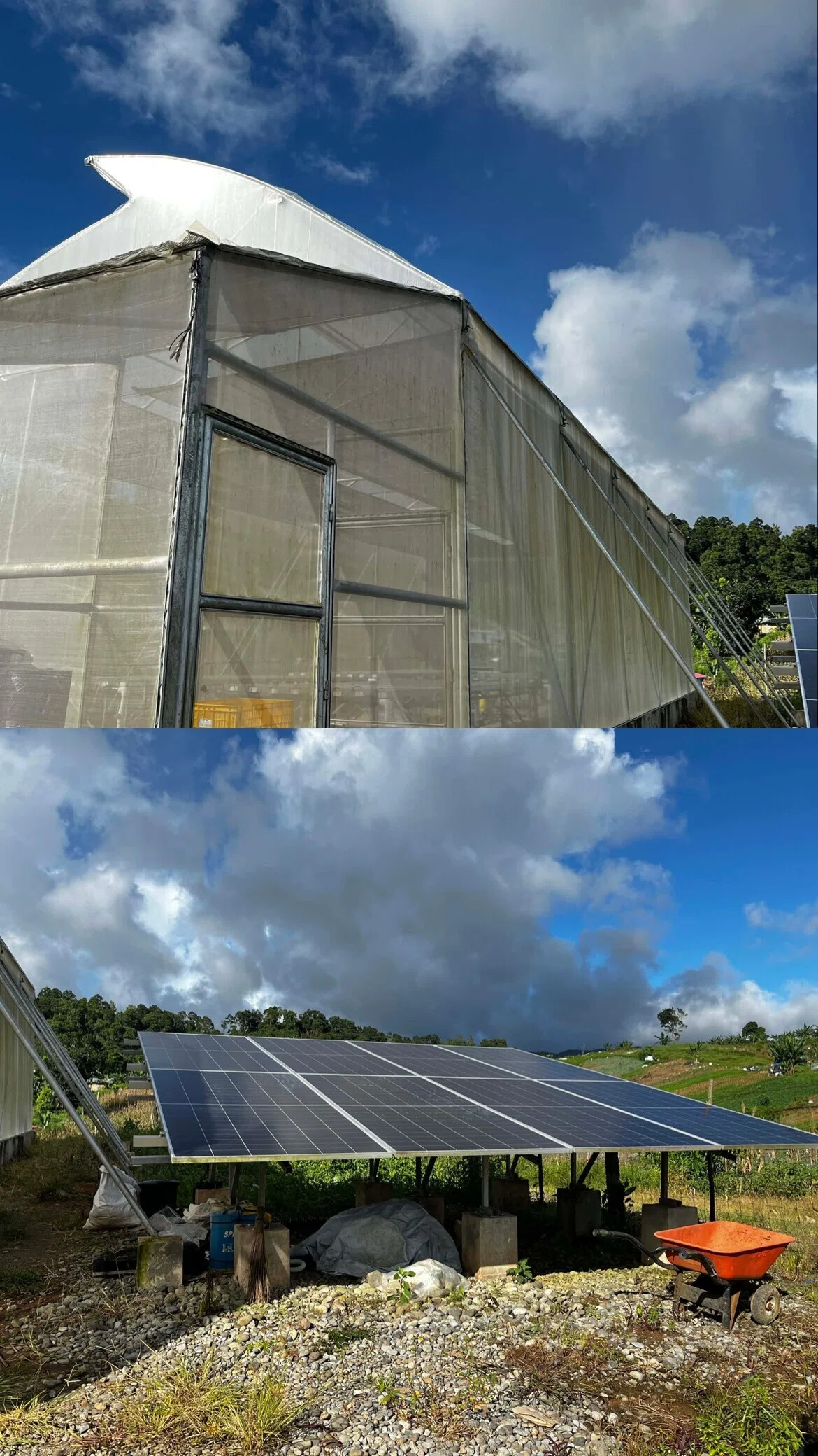 曇天の草地に建つ白い温室とソーラーパネル。太陽光で水耕栽培を支える施設の姿が、次節の地域再生の話へとつながっていく。