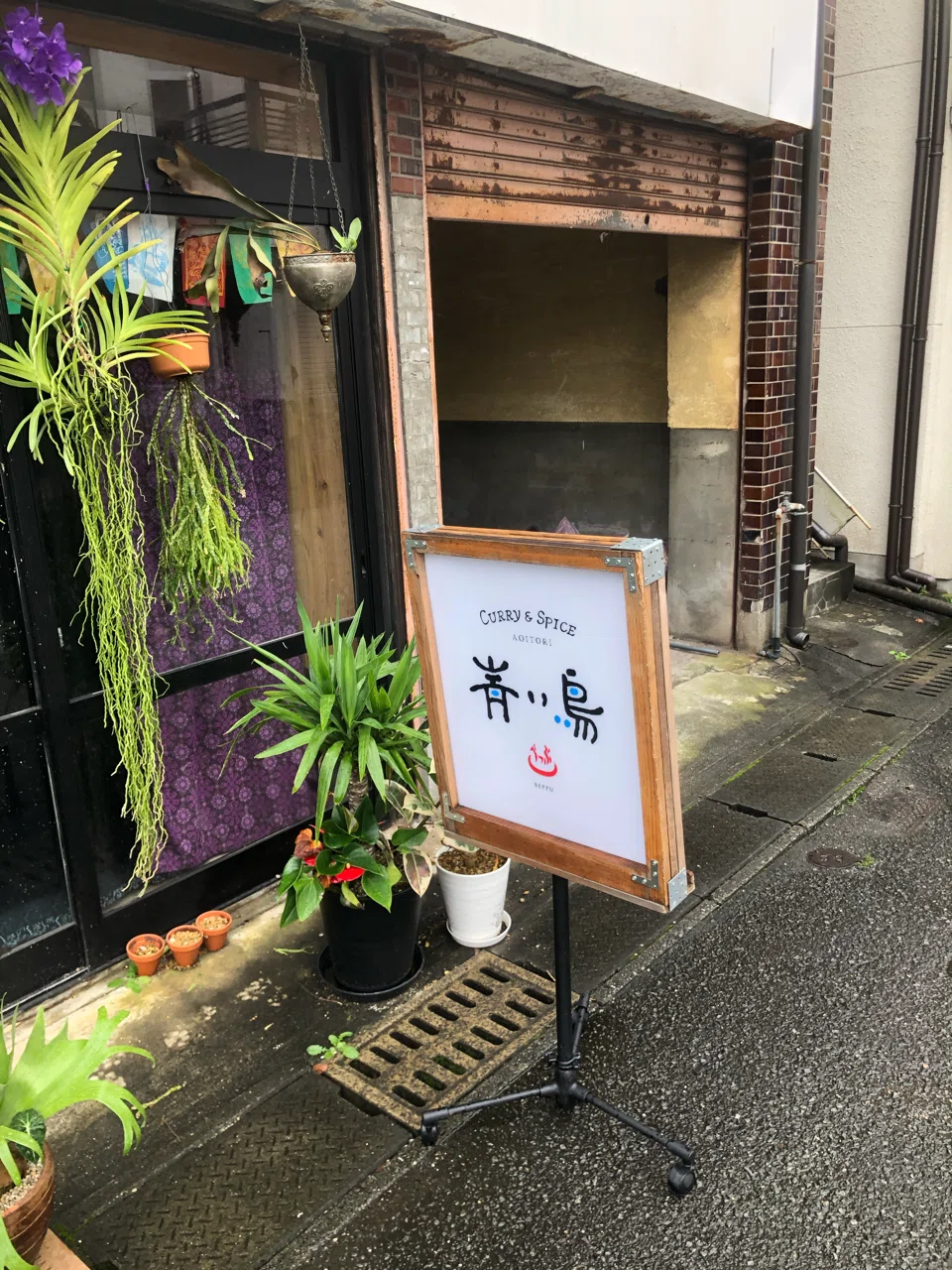画像7