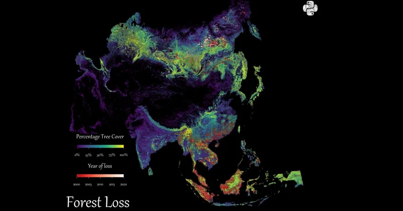 【地図分析】森林消失地図の赤と白　～シベリアと東南アジア、森が消えたあとの違い～