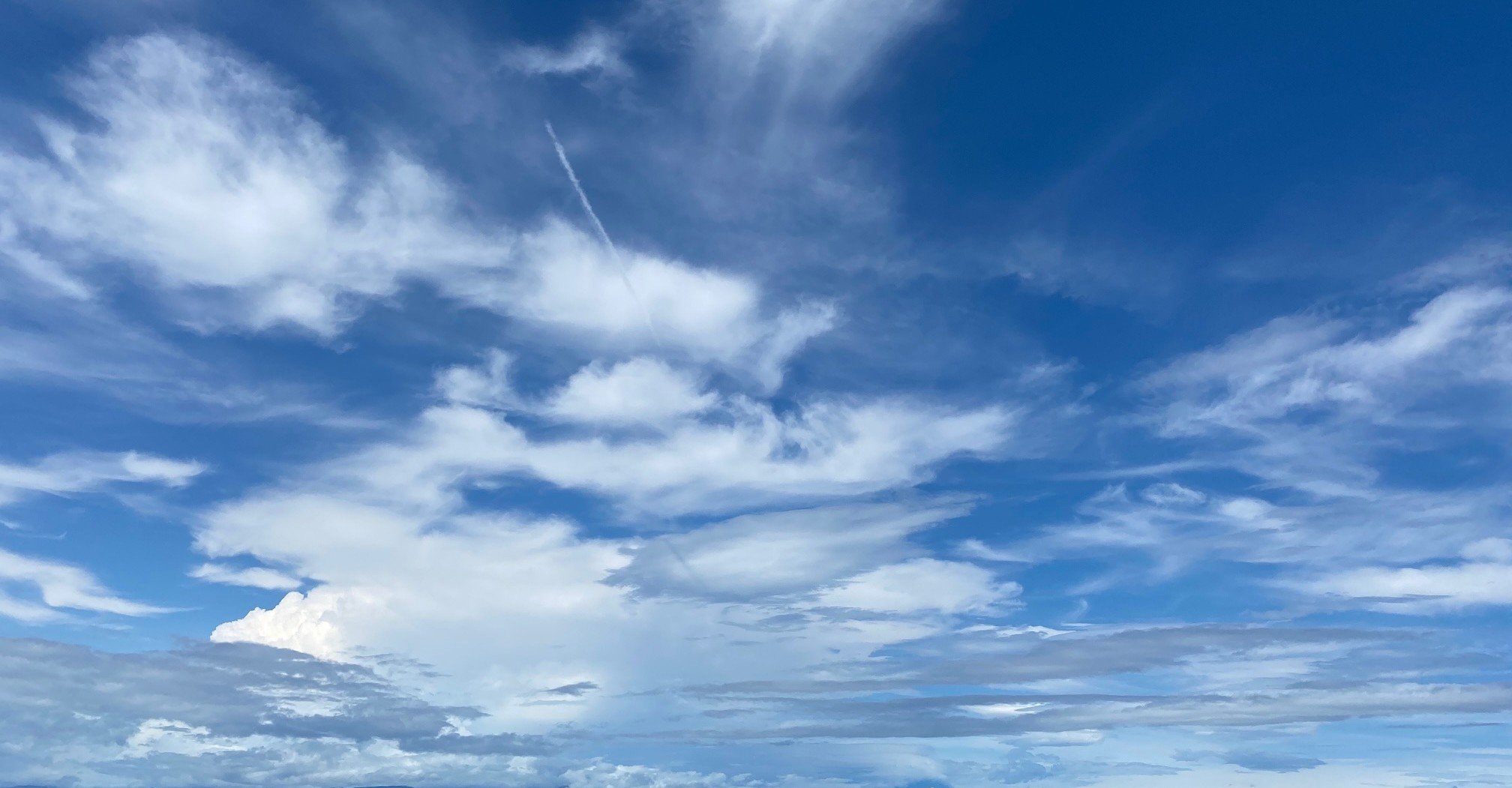 みきるりノート Twitterのハンドルネームはひらがな4文字の人が多い 北林たけのぶ Note