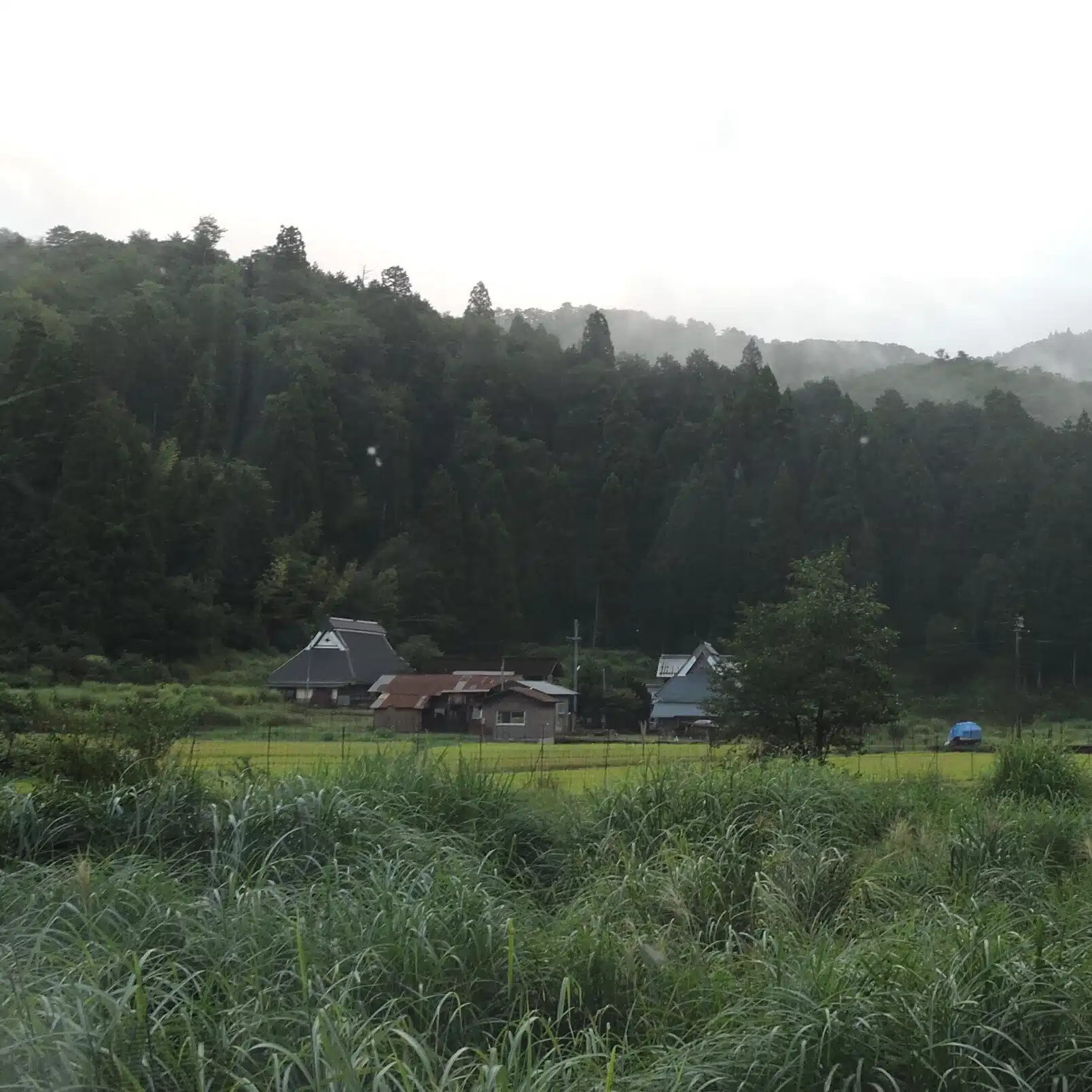 朝の短編室