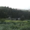 朝の短編室