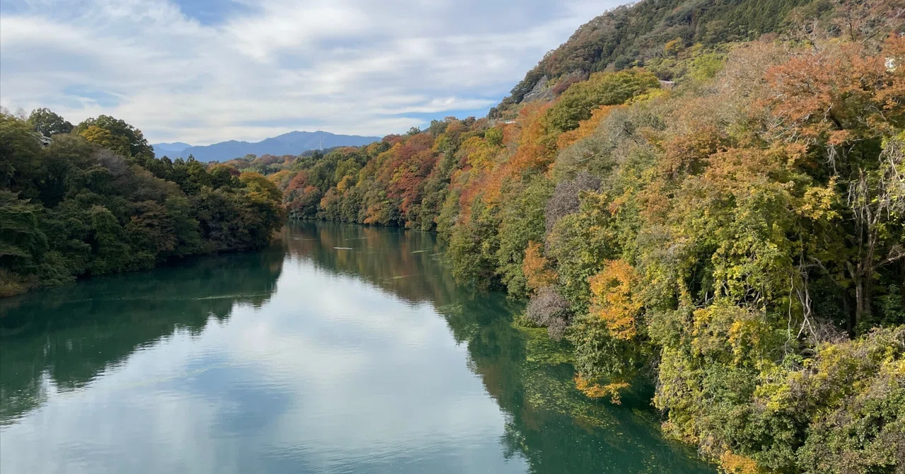 Learn Conference Learning about nature was so interesting. What I realized through the ...