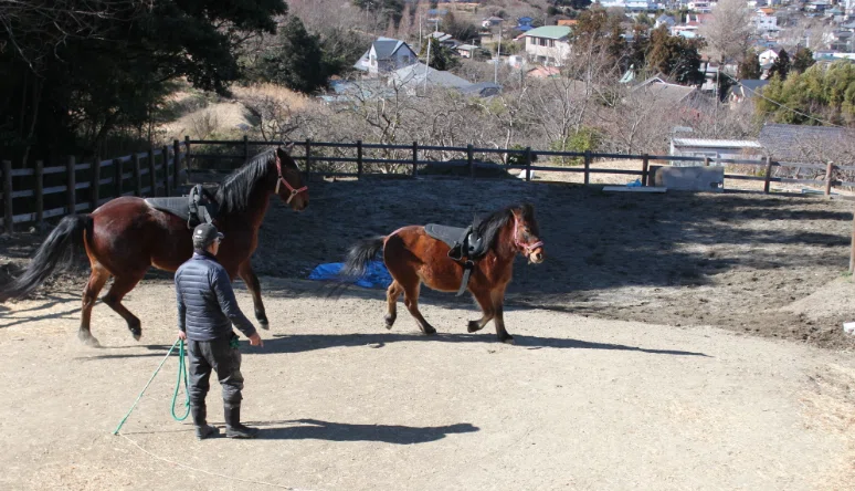 またまた一緒に走る2