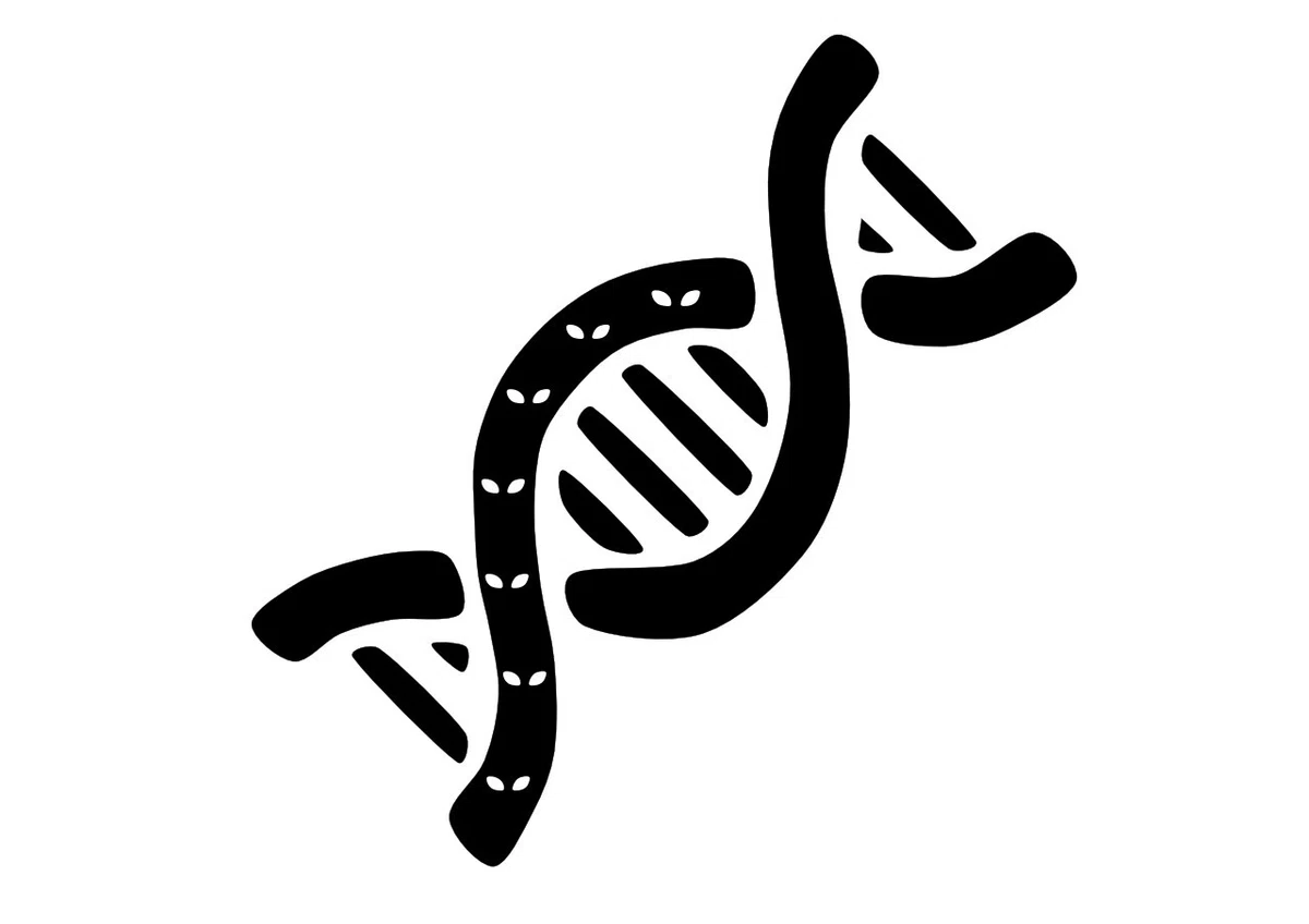 遺伝子