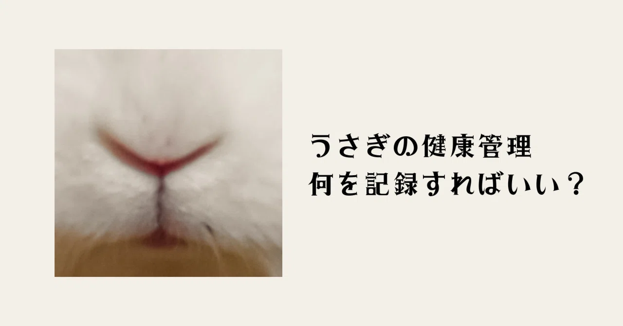 １.うさぎの健康管理、何を記録すればいい？