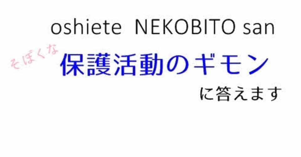 猫を保護したら なぜ 病院へ連れて行かないといけないの Nekobito Meeting Note